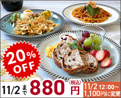 和食器のシンプルなカレー・パスタ皿5枚セット