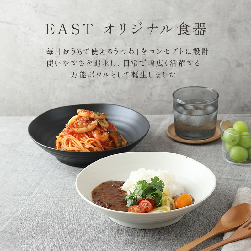 カレー　パスタ　皿　２０枚 料理を劇的におしゃれに！モダンな白マットのEASTブランドの食器