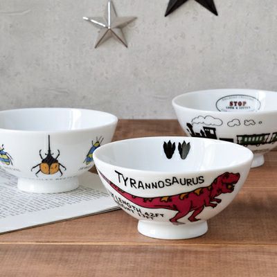 こども茶碗 男の子用 TOTOY