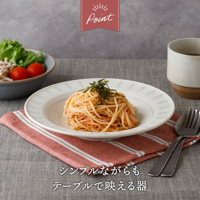 和食器のシンプルなカレー・パスタ皿5枚セット