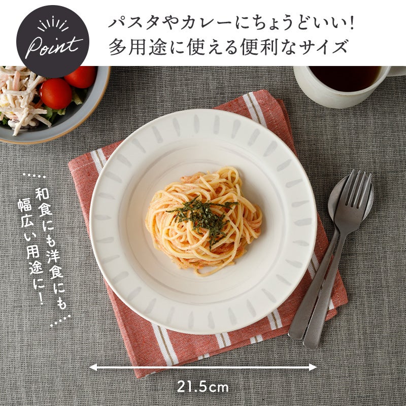 和食器のシンプルなカレー・パスタ皿5枚セット