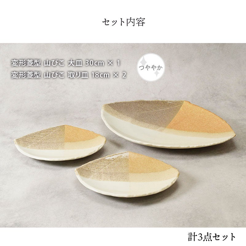 和の趣とモダンを映す大皿＆取り皿セット